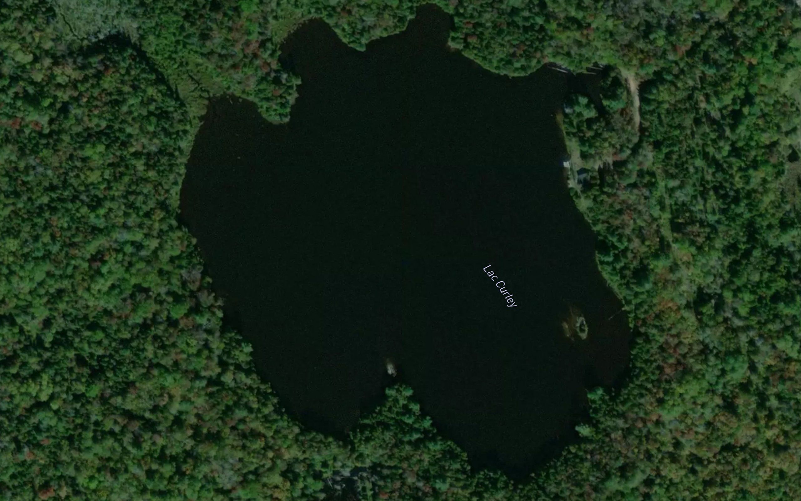 Lac Curley