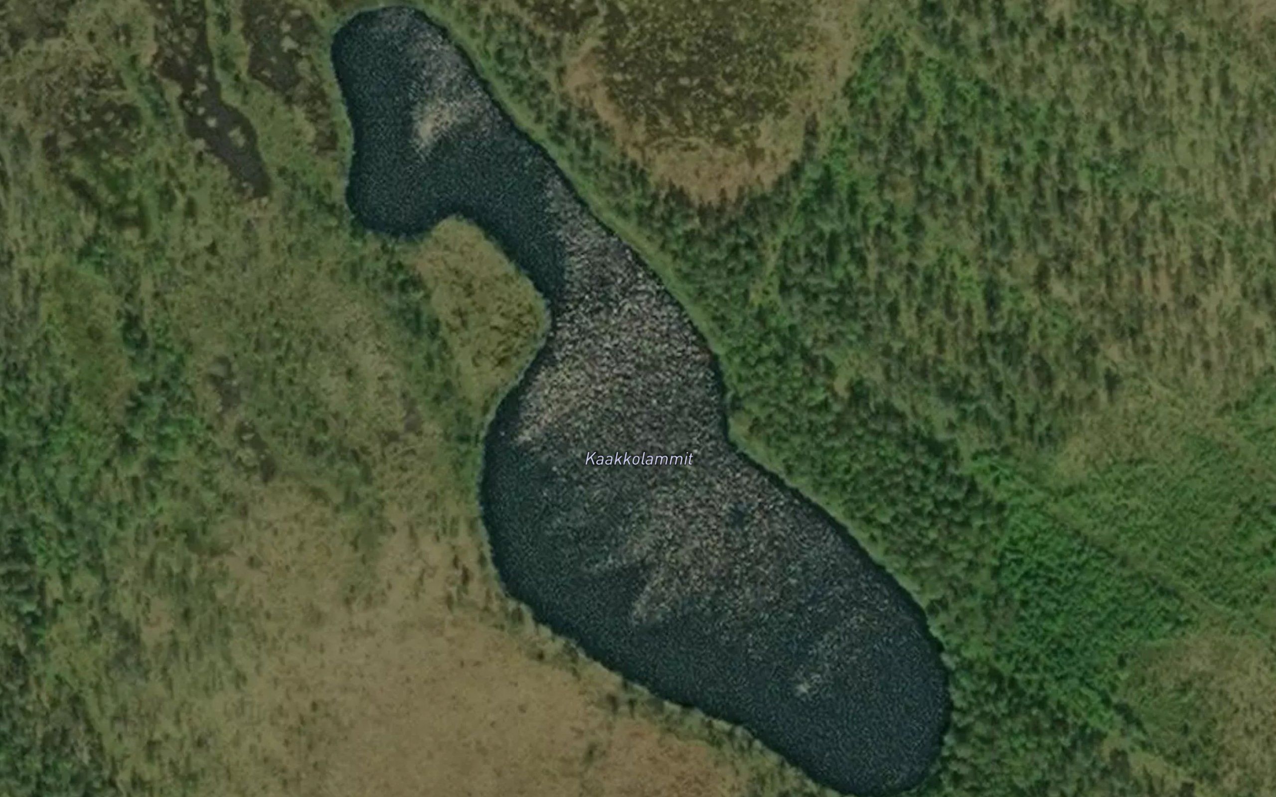 Kaakkolammit