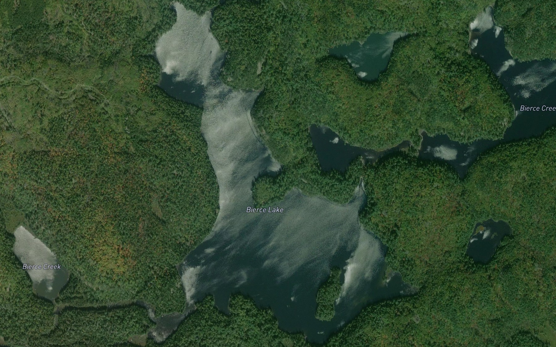 Satellite map of the Bierce Lake