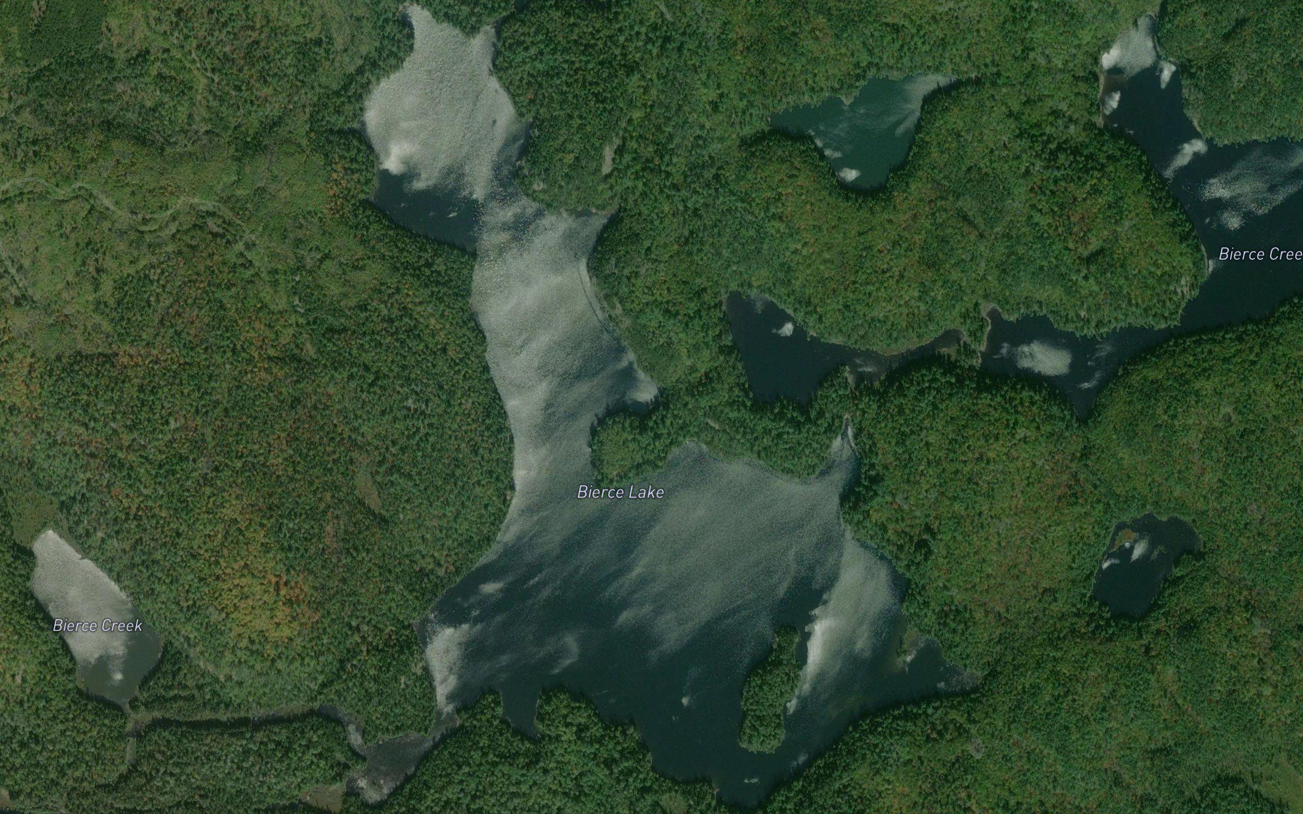 Bierce Lake