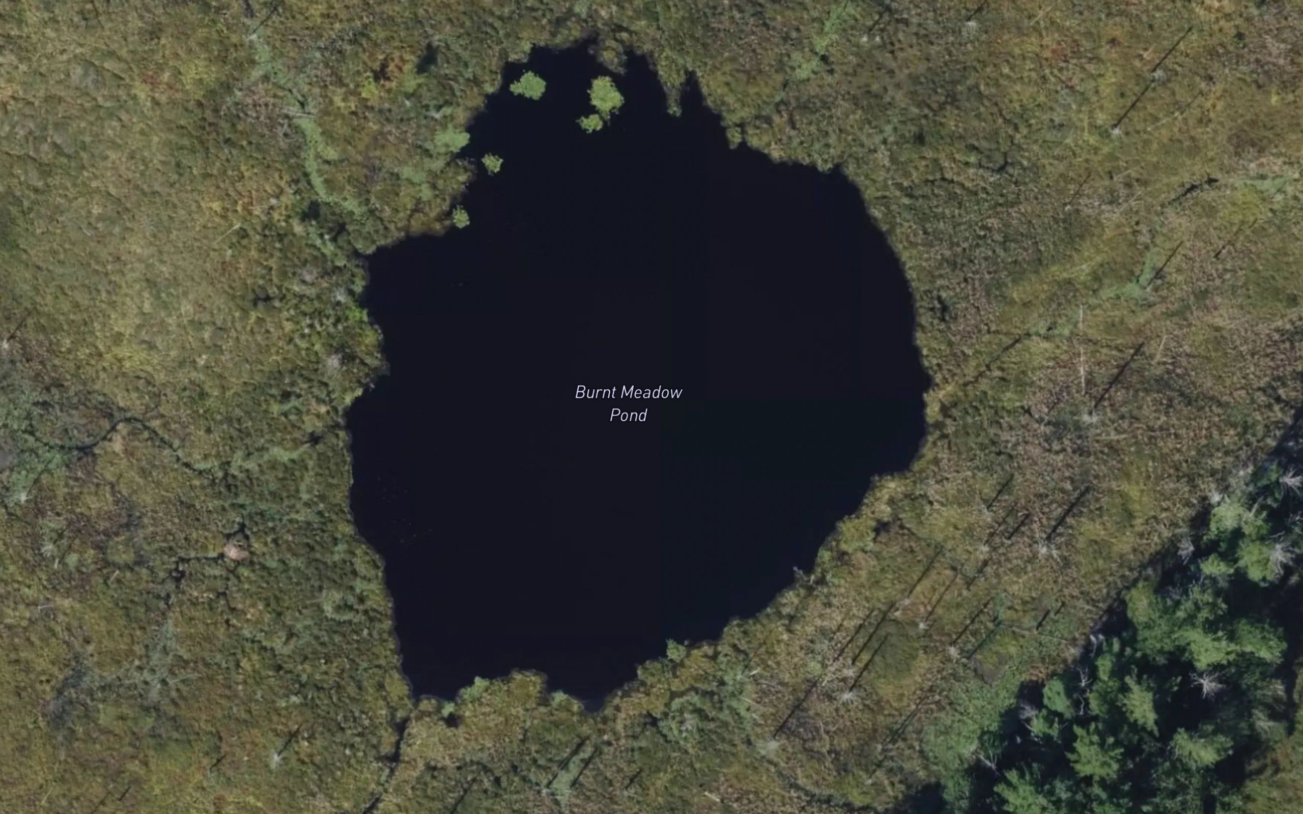 Burnt Meadow Pond