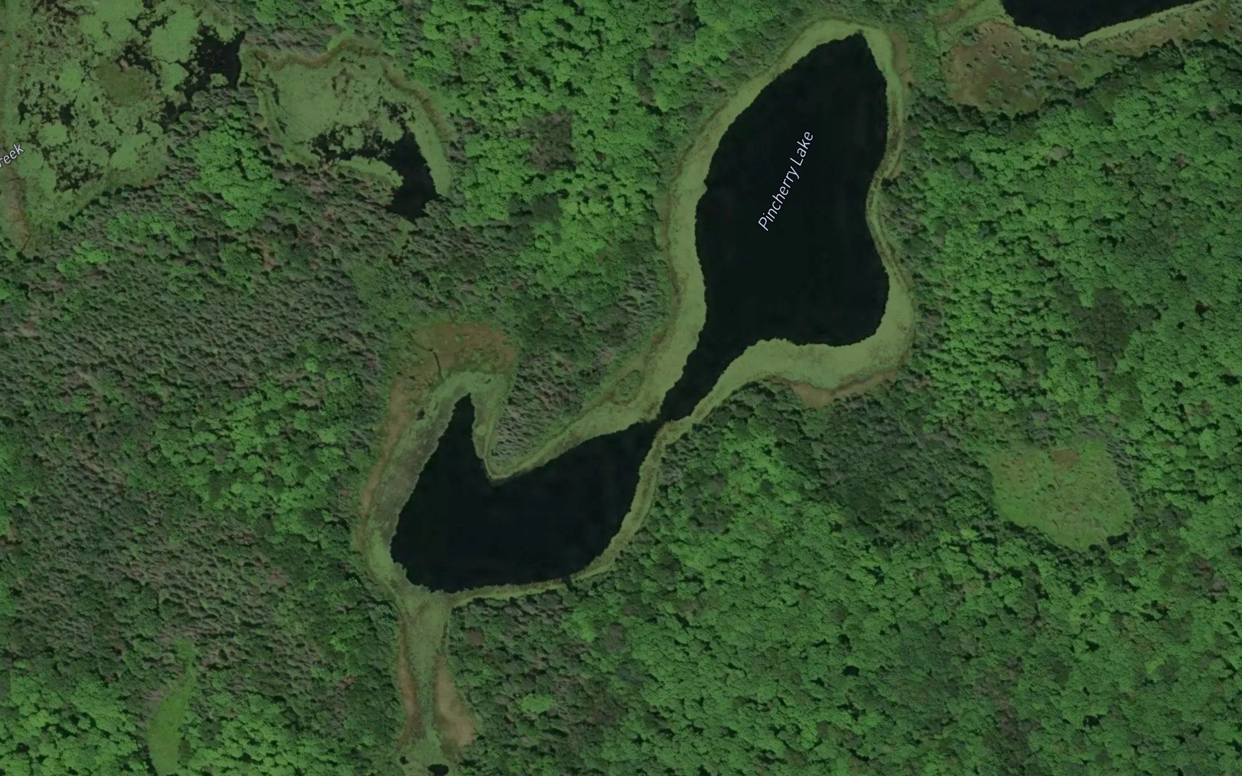 Pincherry Lake
