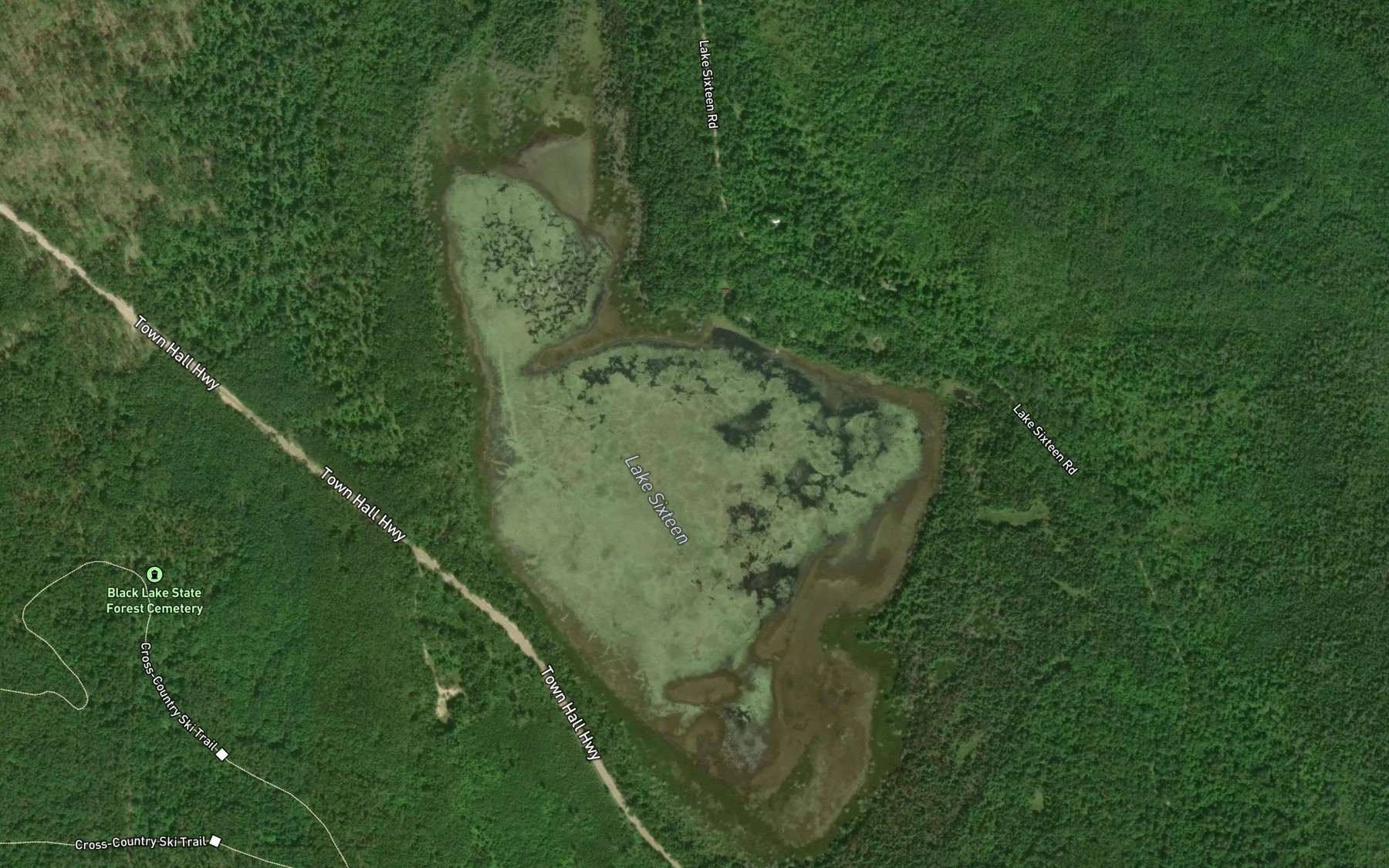 Satellite map of the Lake Sixteen
