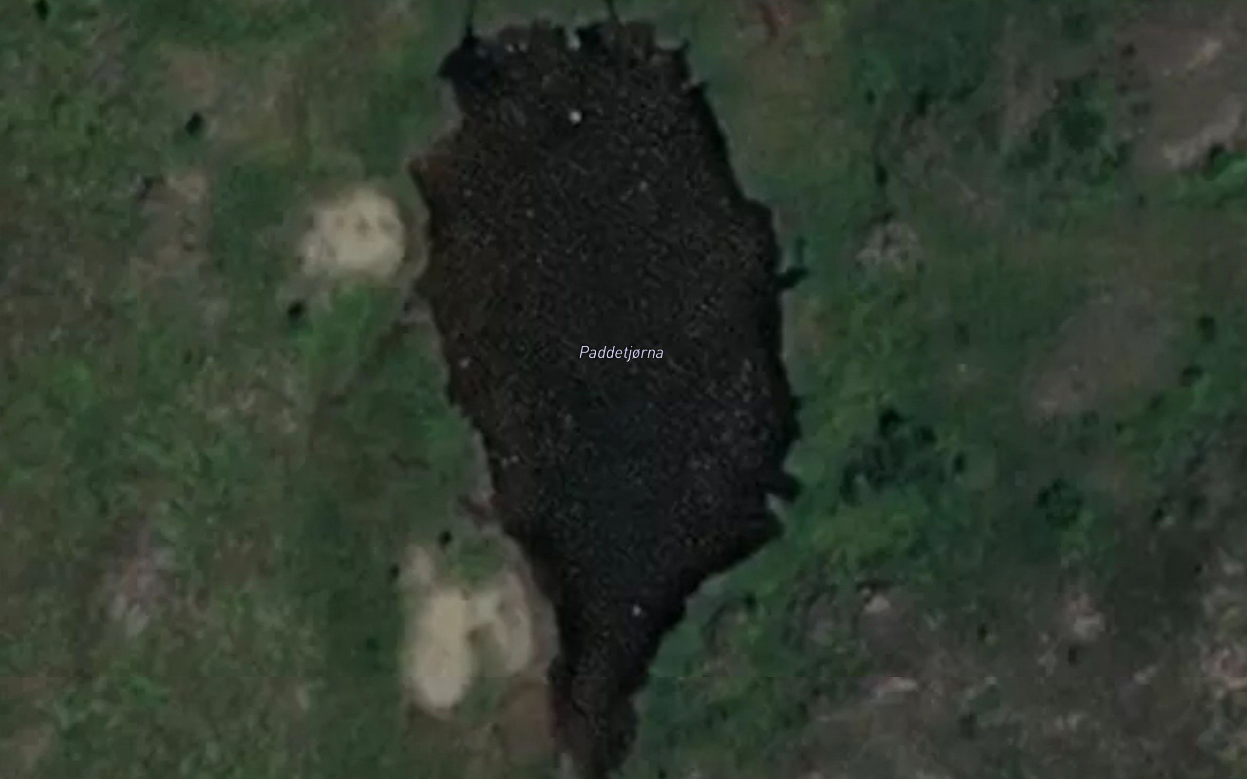 Paddetjorna