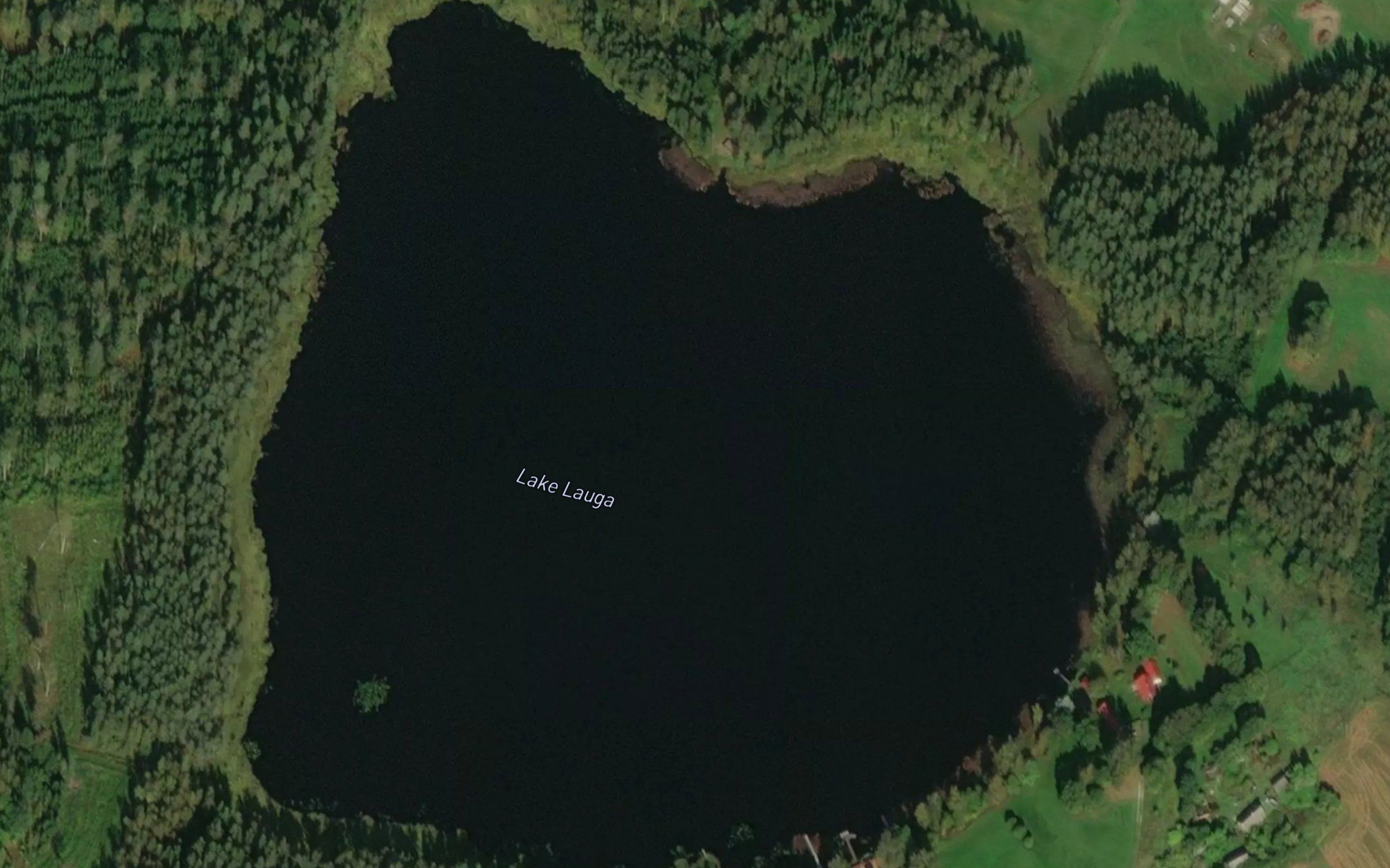 Lauga Jarv