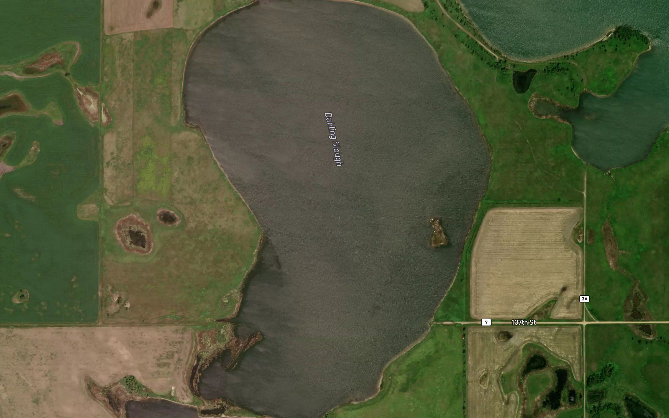 Dahling Slough