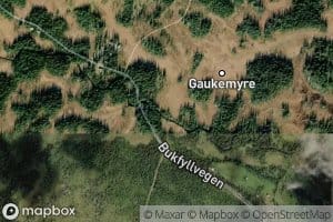 Bukfylla
