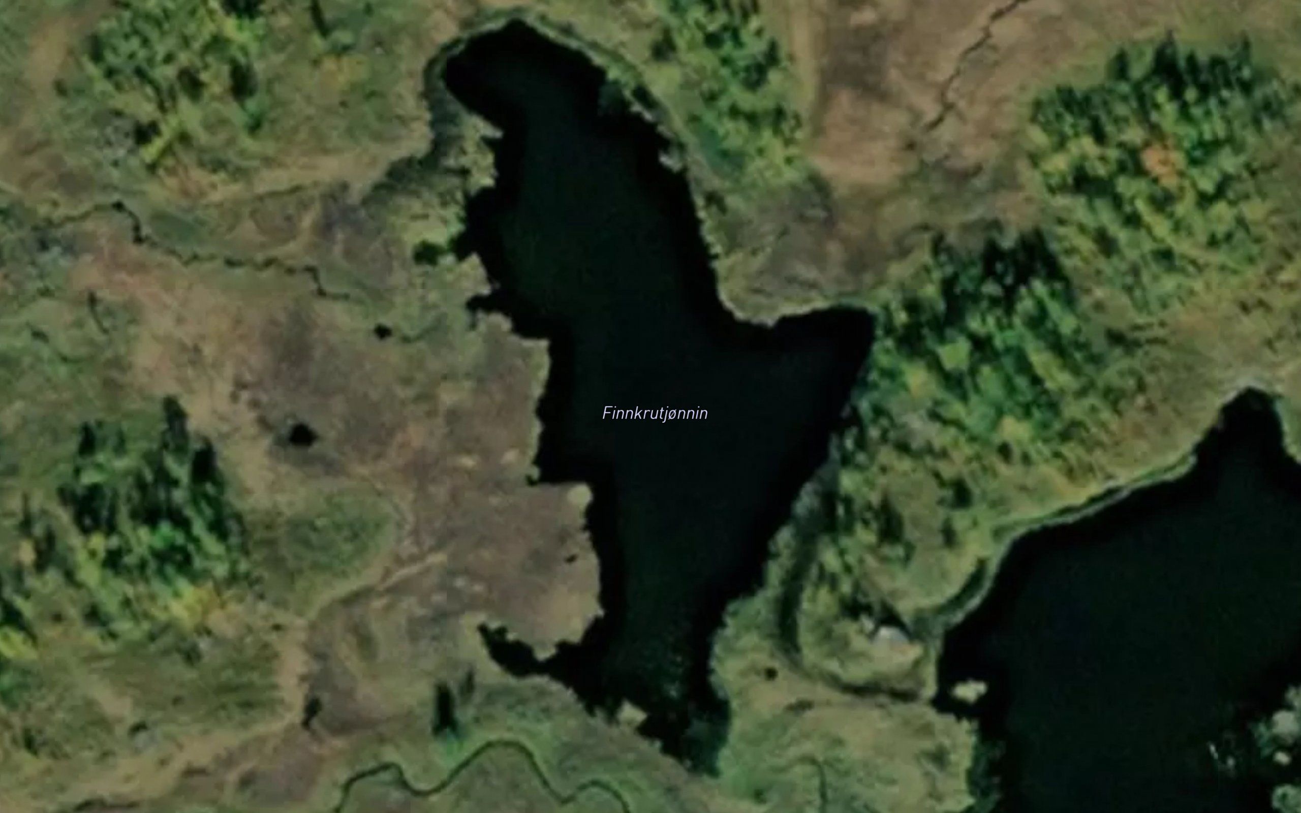 Finnkrutjornin