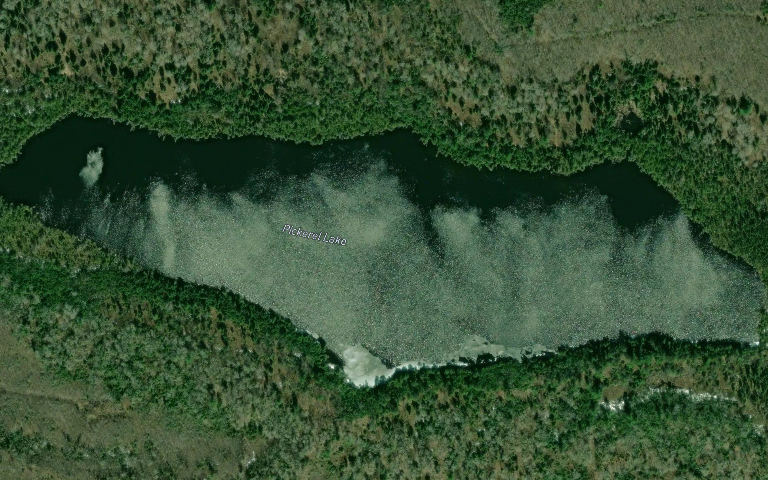 Pickerel Lake
