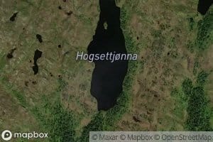 Hogsettjorna