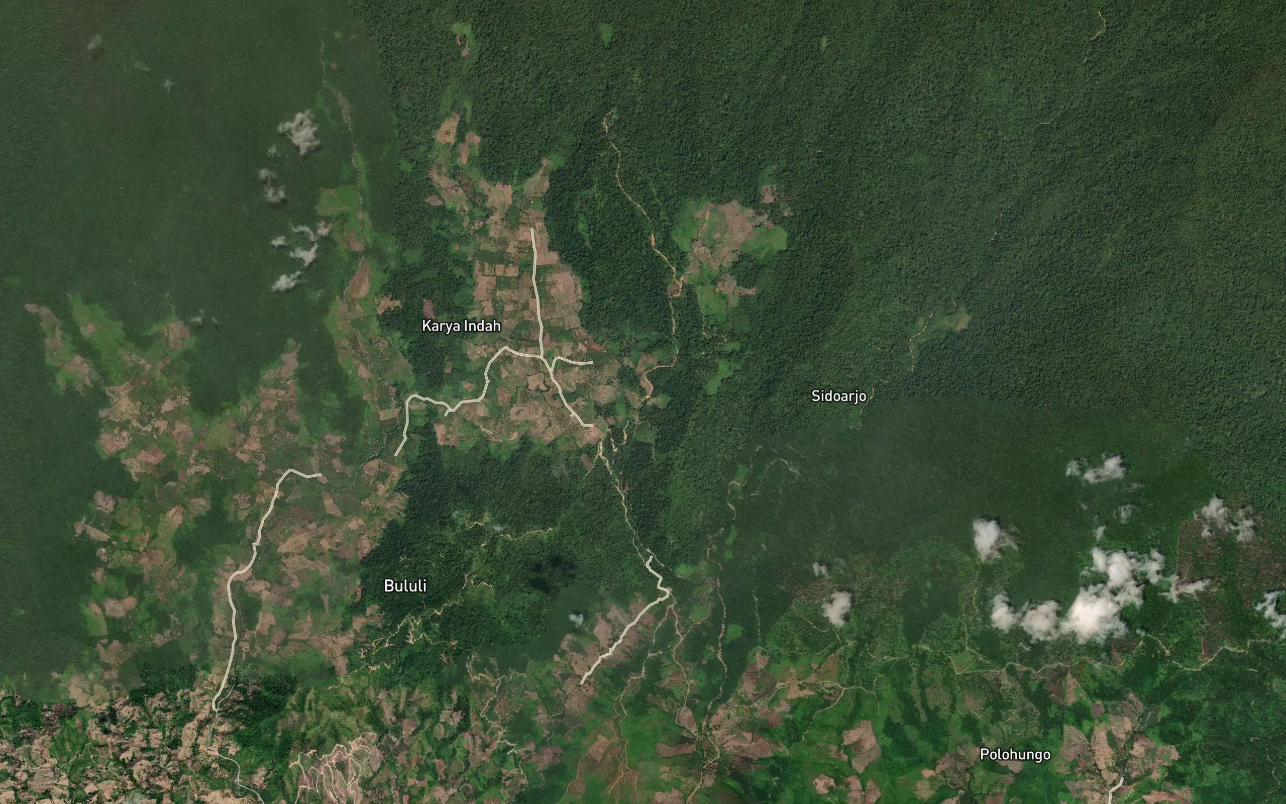 Dutula Limu