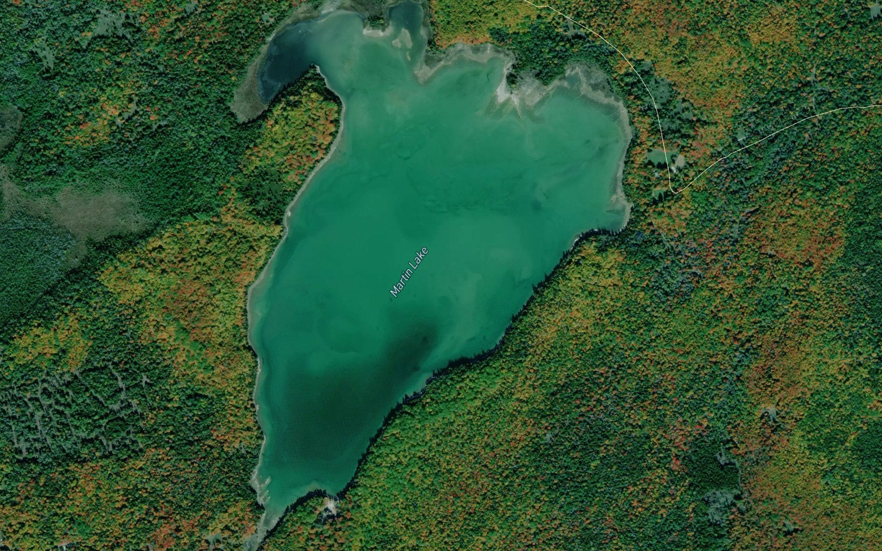 Satellite map of the Martin Lake