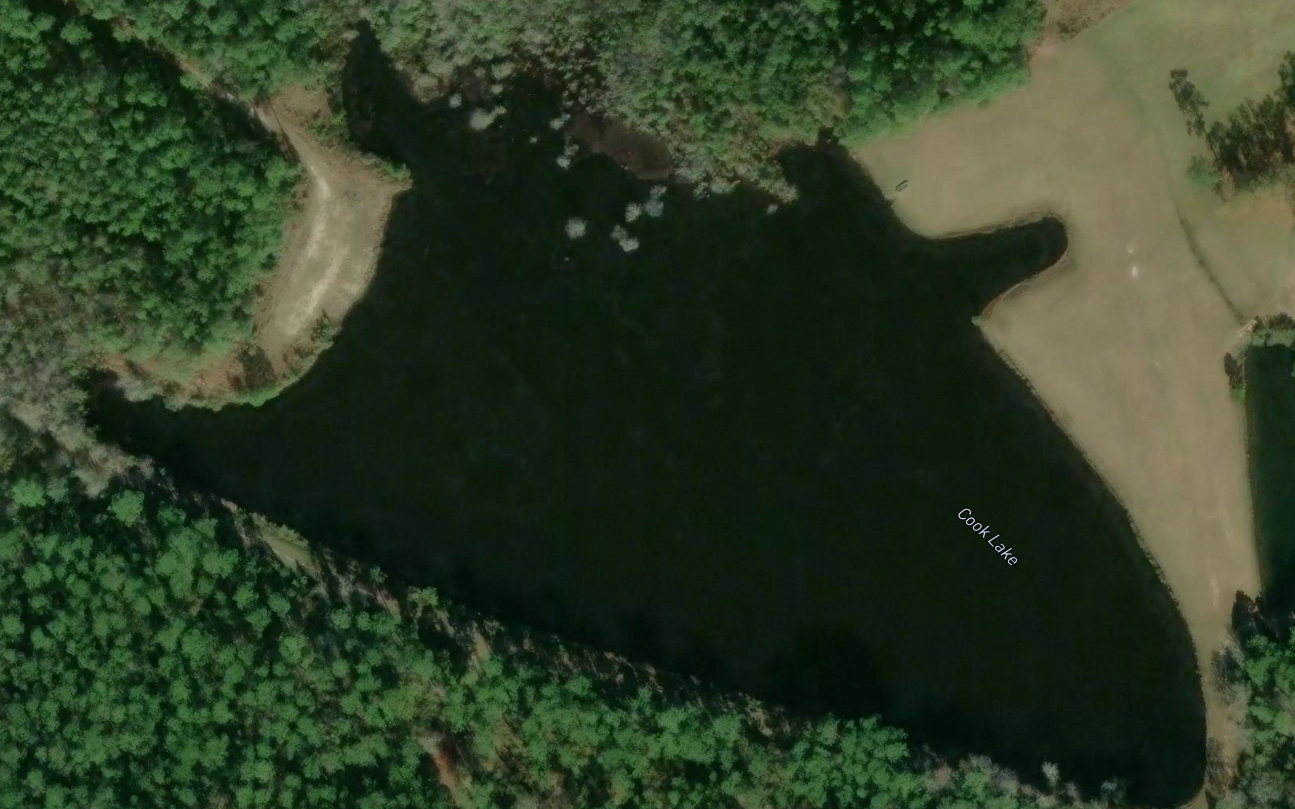 Cook Lake