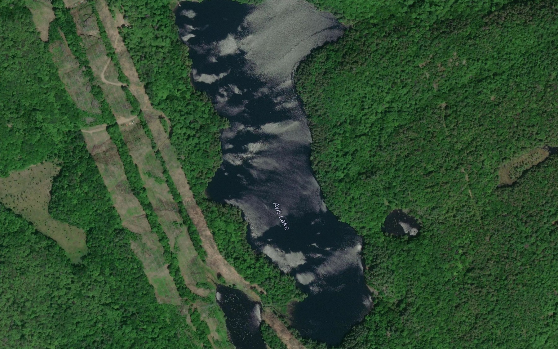 Satellite map of the Avis Lake
