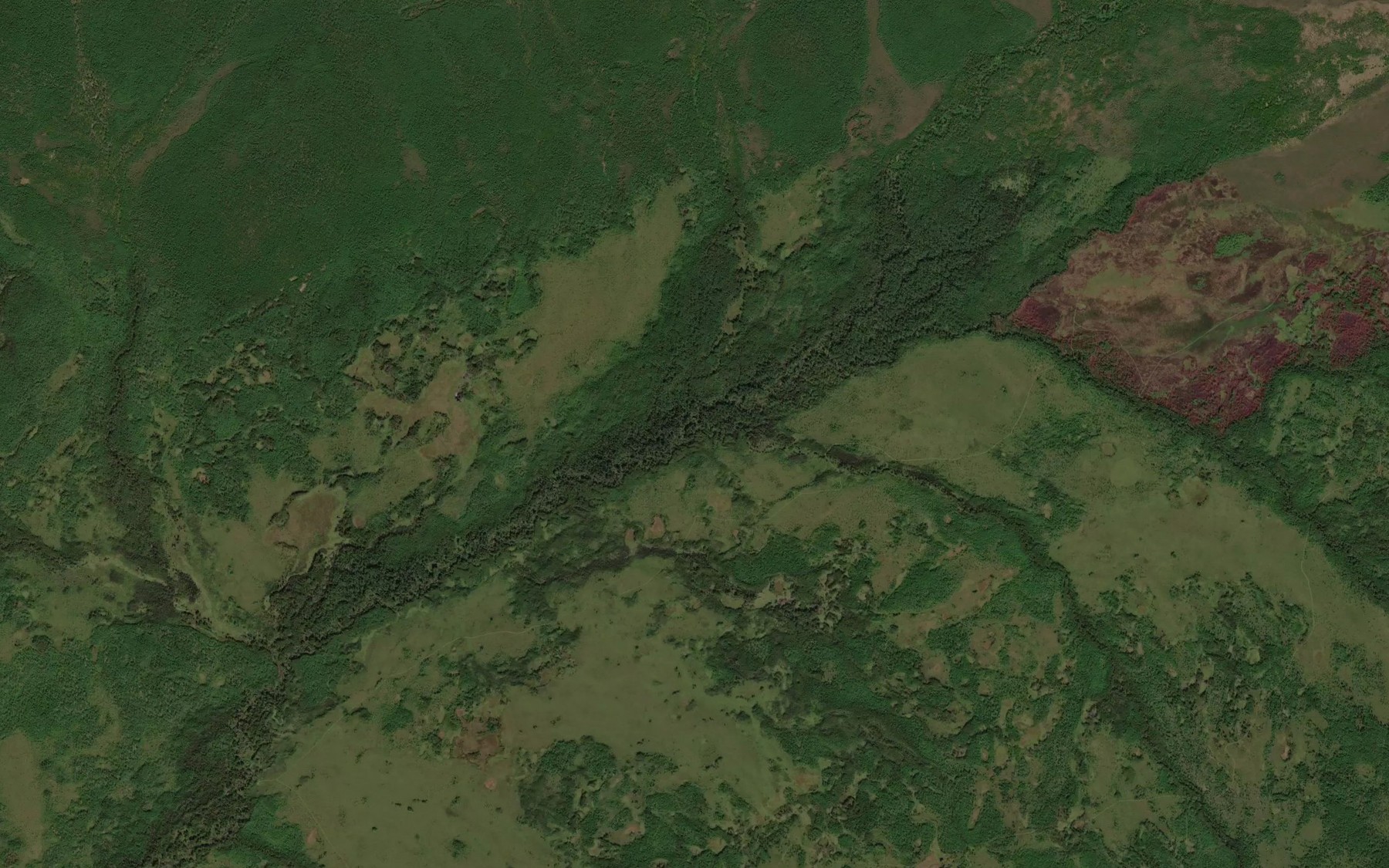 Satellite map of the Brusnichnyy