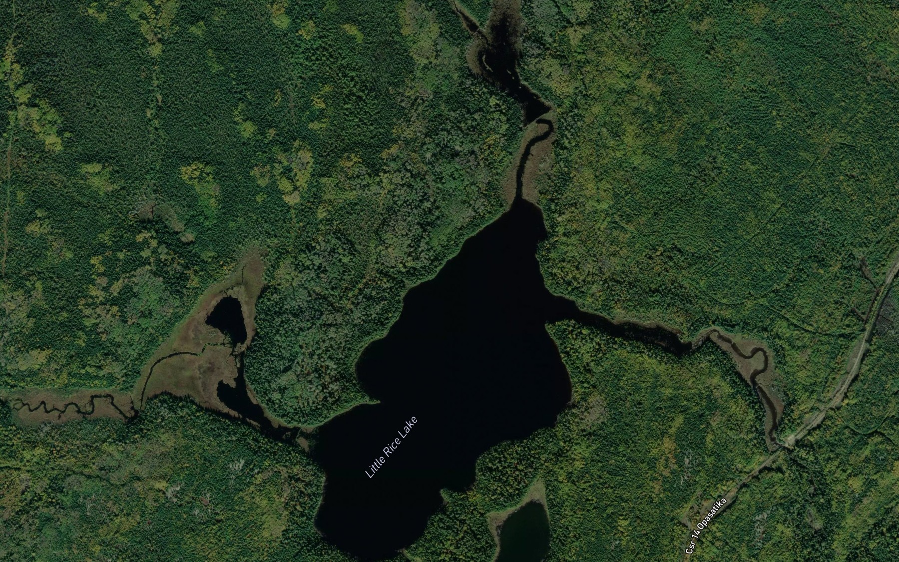 Satellite map of the Little Rice Lake