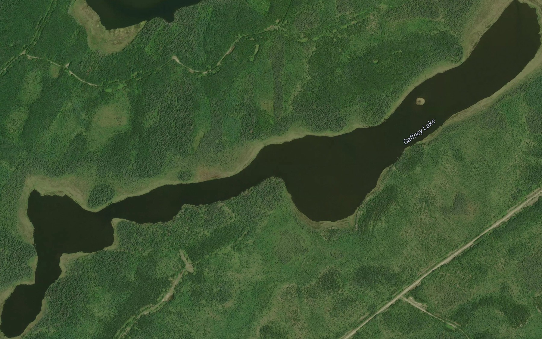 Satellite map of the Gaffney Lake