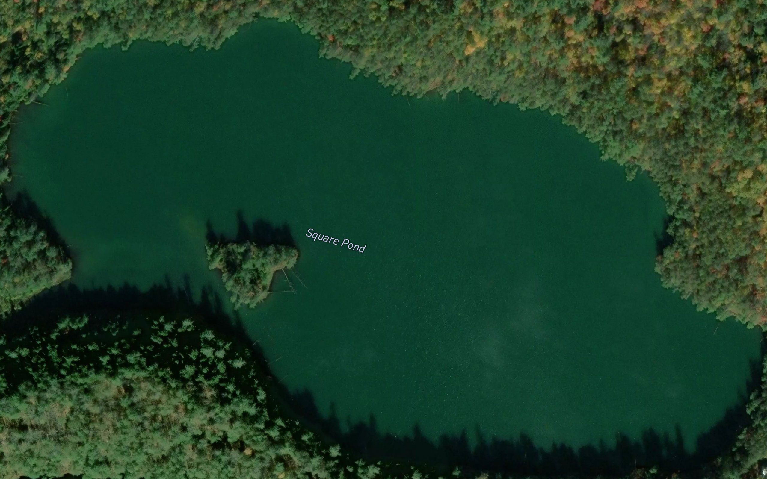 Square Pond