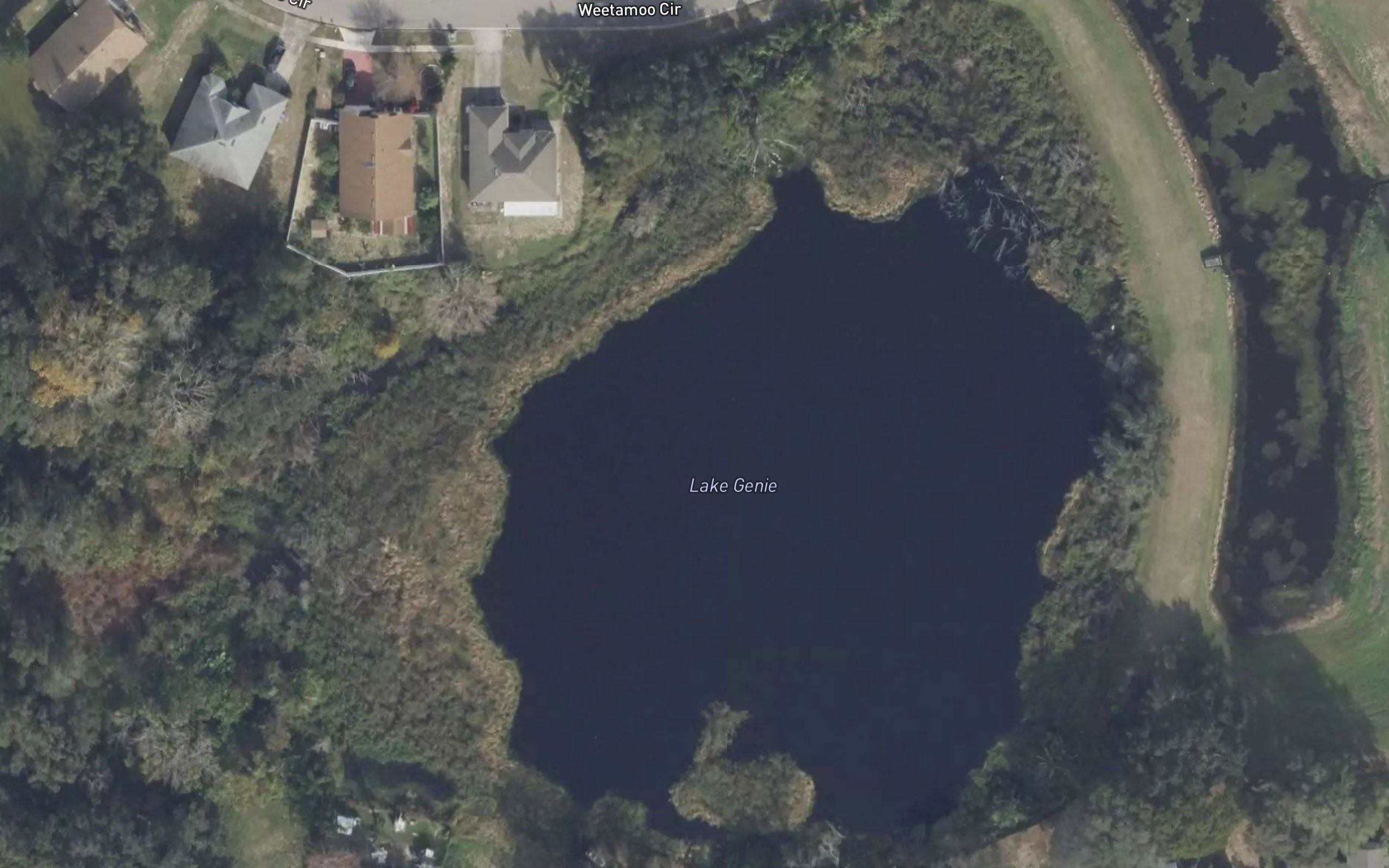 Lake Genie