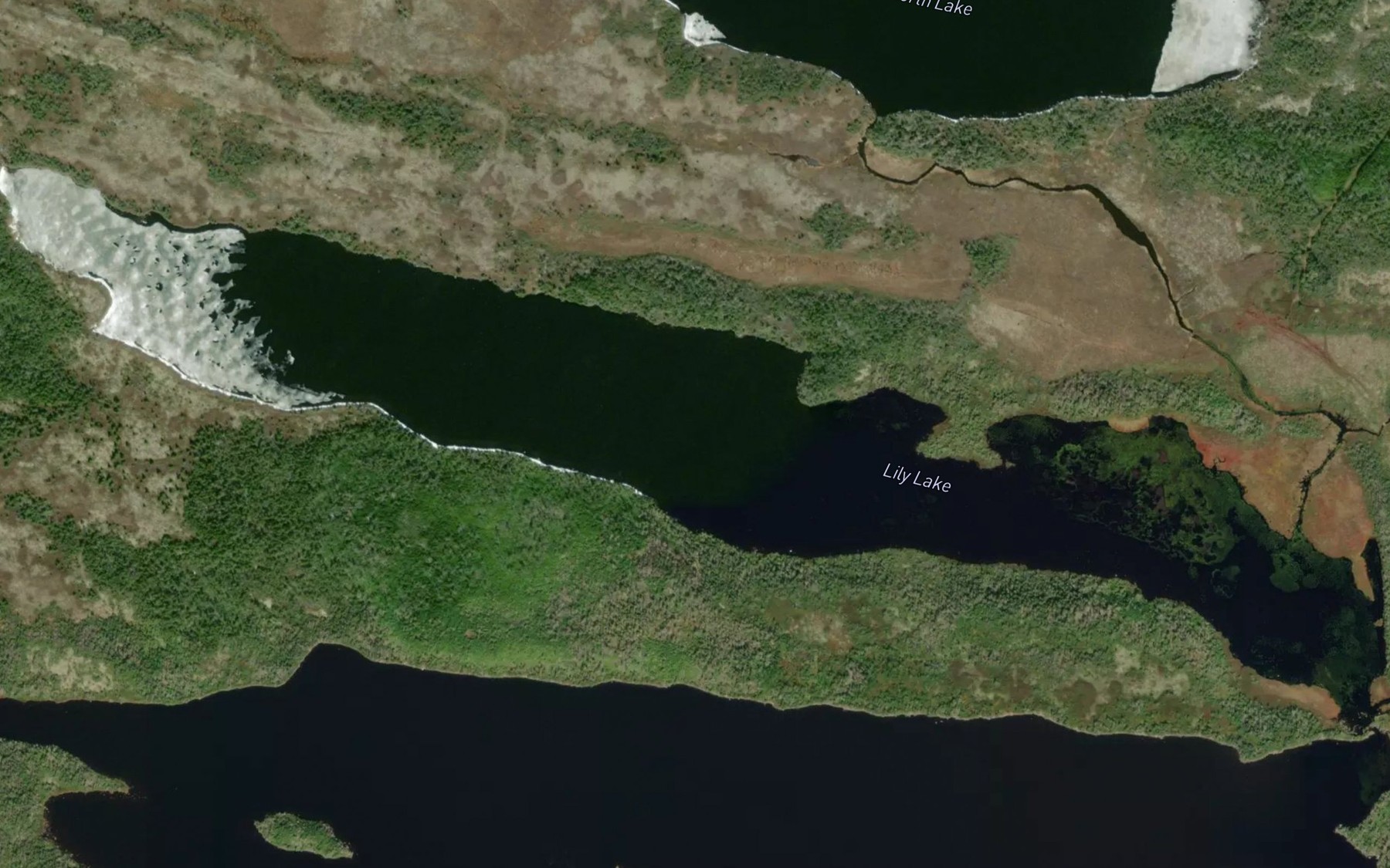 Satellite map of the Lily Lake