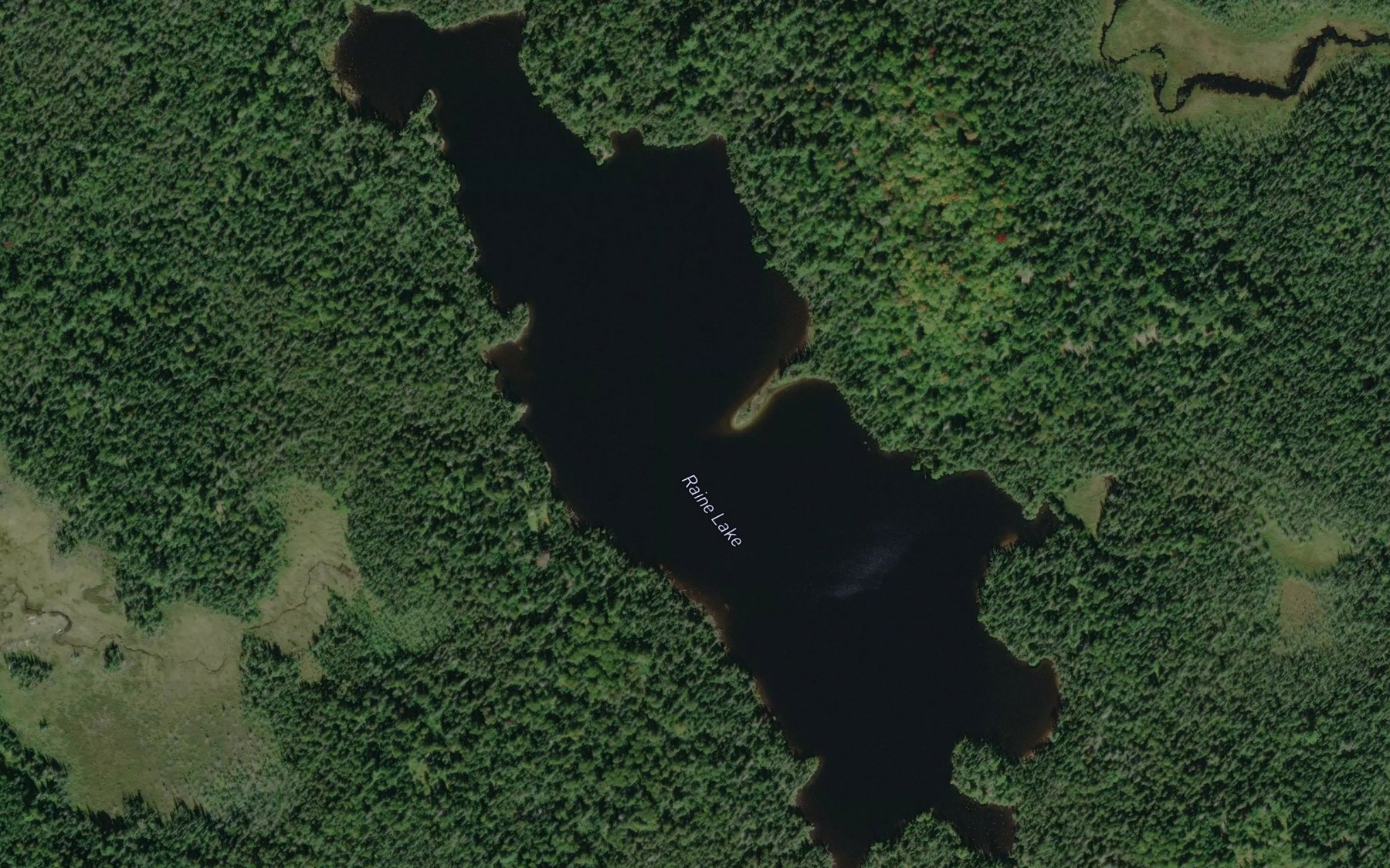 Satellite map of the Raine Lake