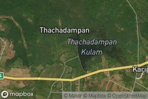 Thatcha Adampan Kulam