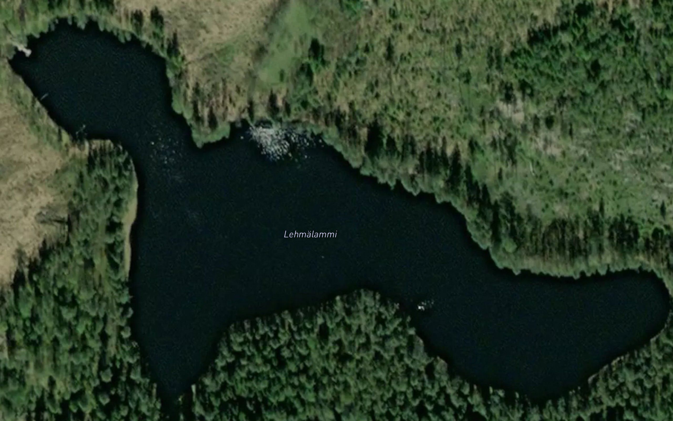Lehmalammi