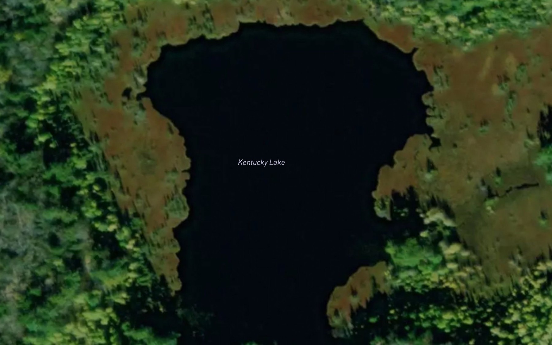 Satellite map of the Kentucky Lake