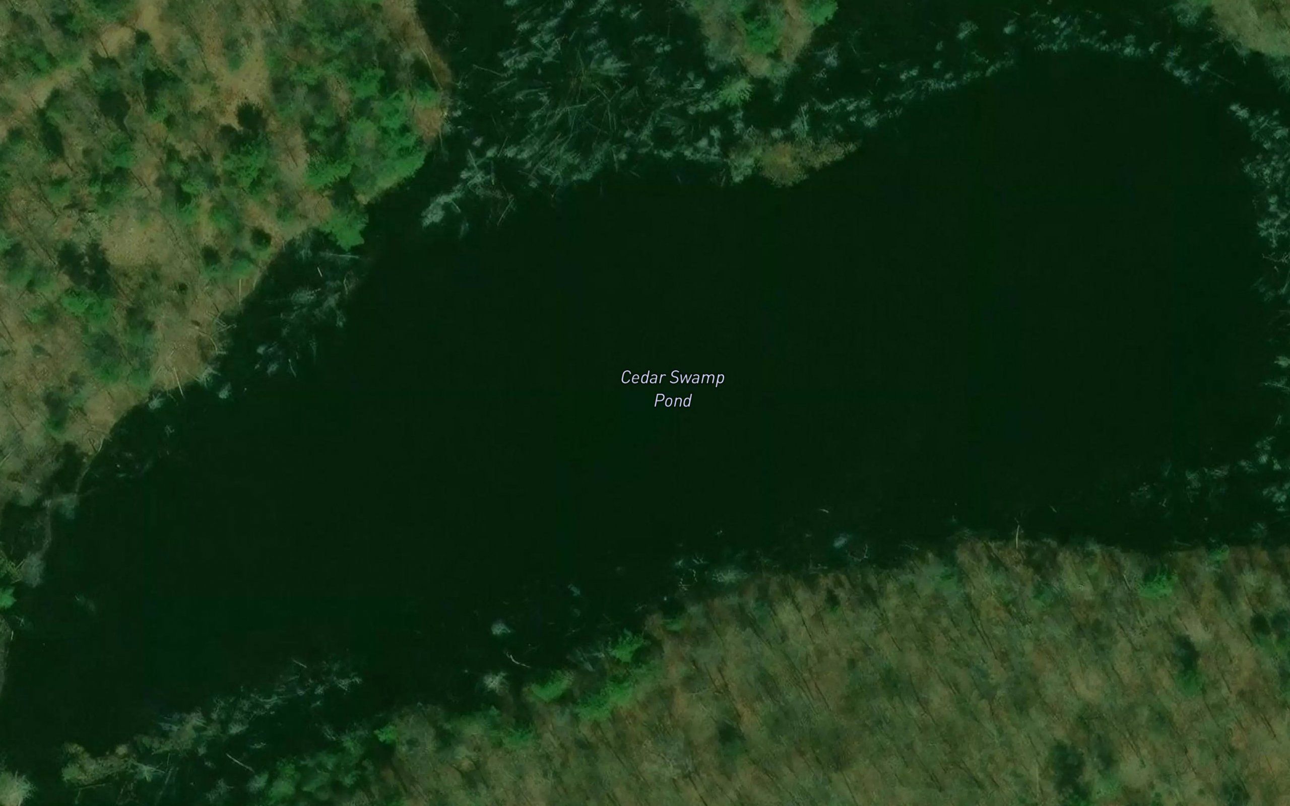 Cedar Swamp Pond