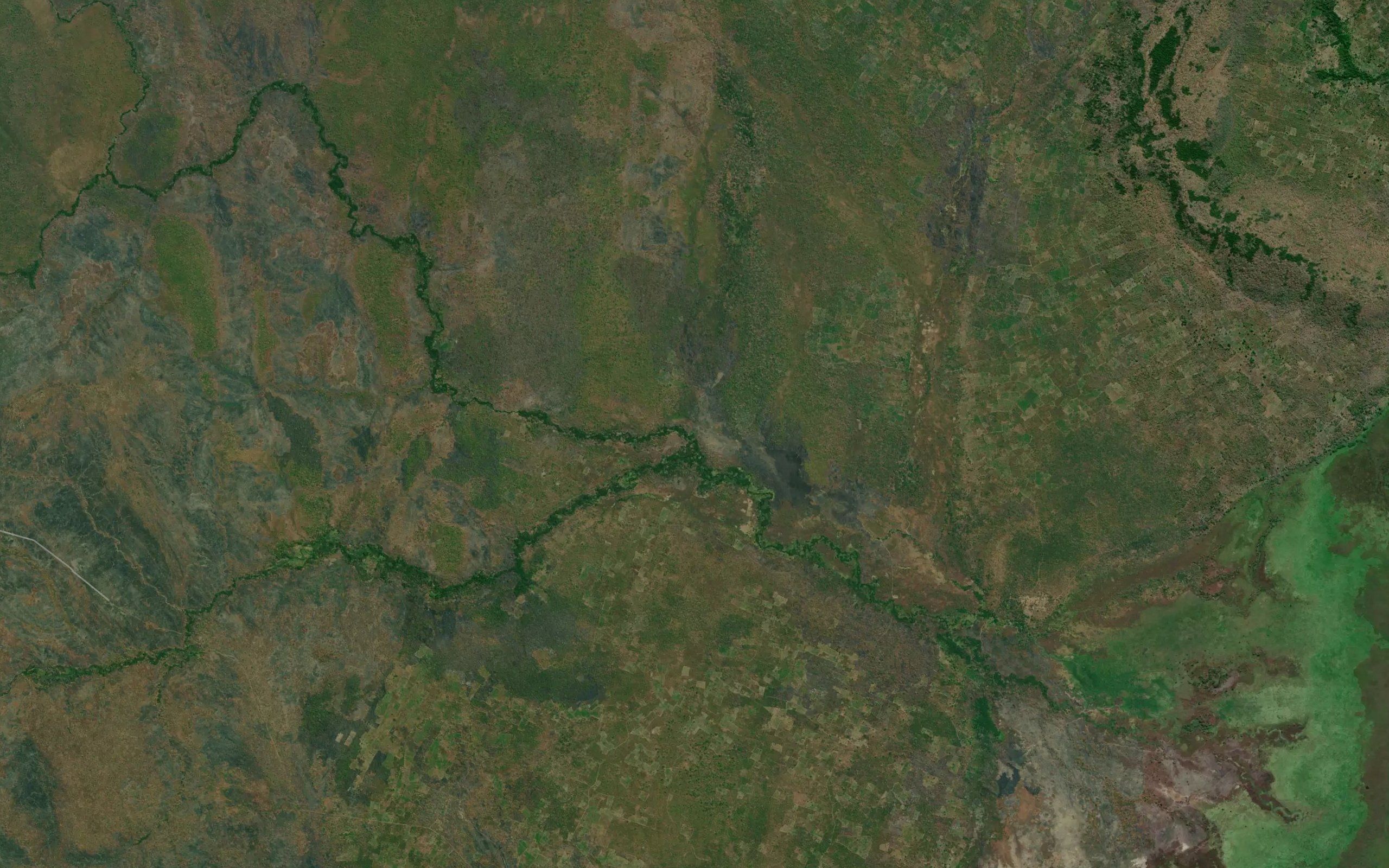 Swazi