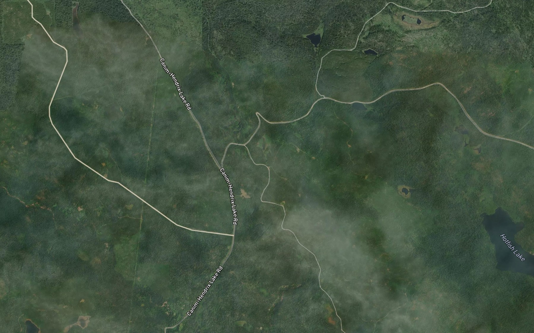 Satellite map of the Burtt Creek