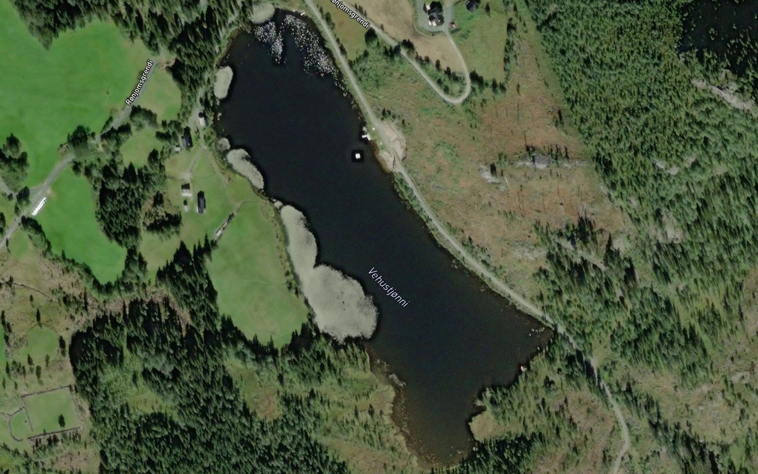 Vihustjorn