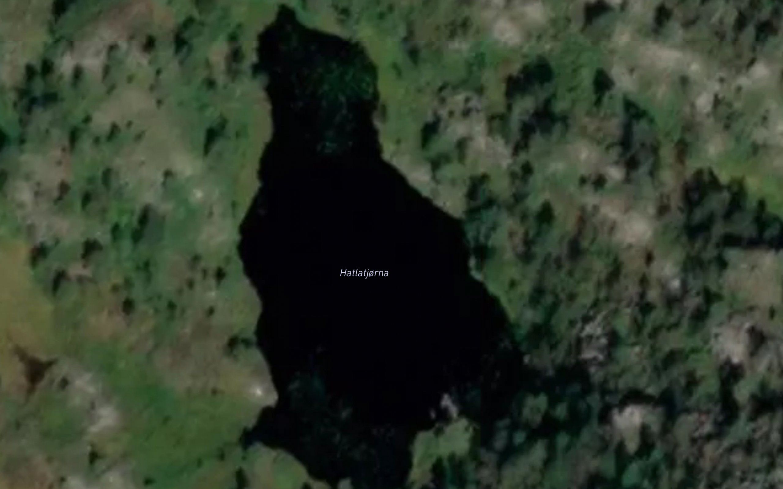 Hattatjorna