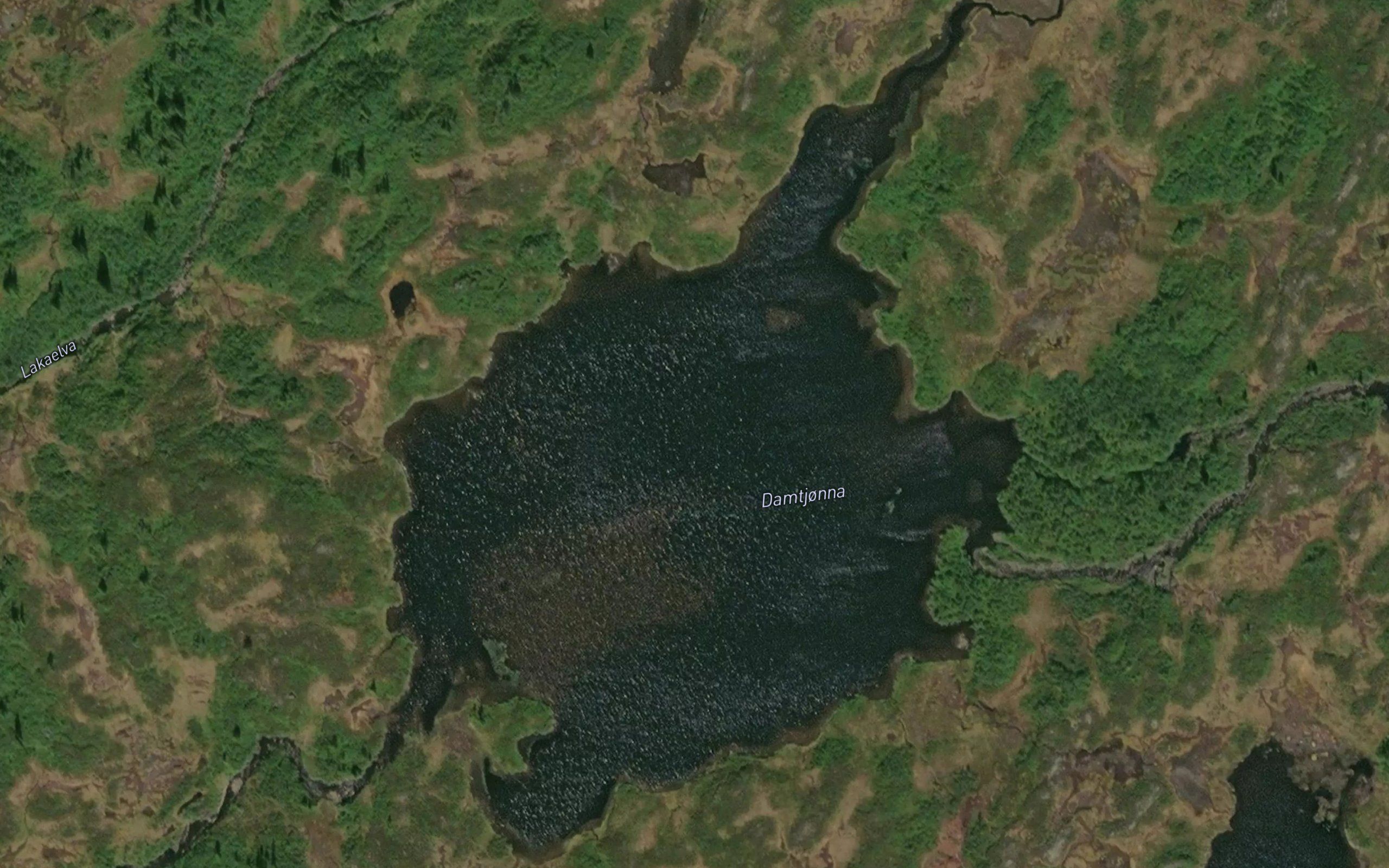 Damtjorna