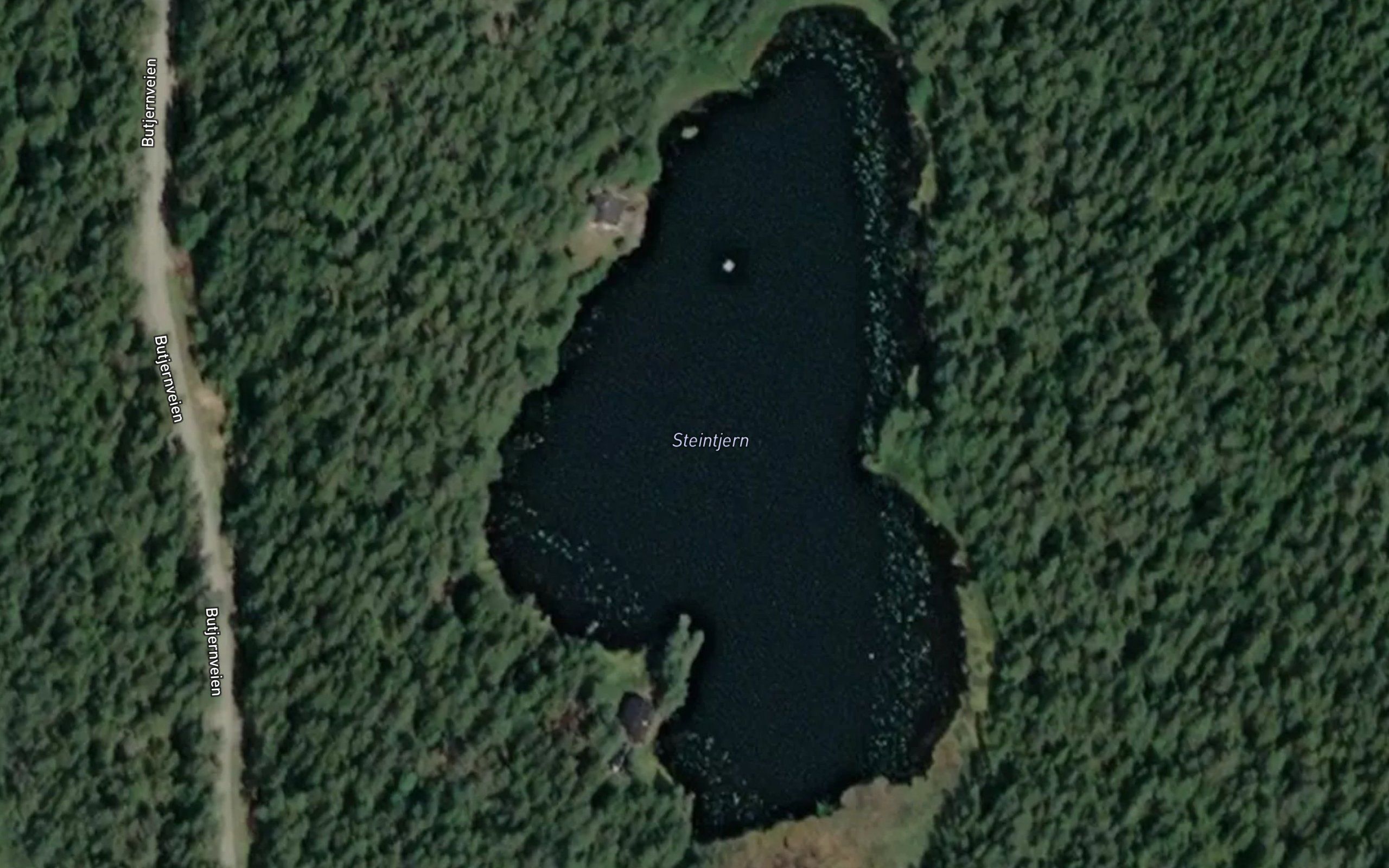 Stenstjern
