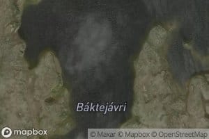 Baktejavri