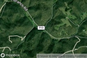 Falling Timber Branch