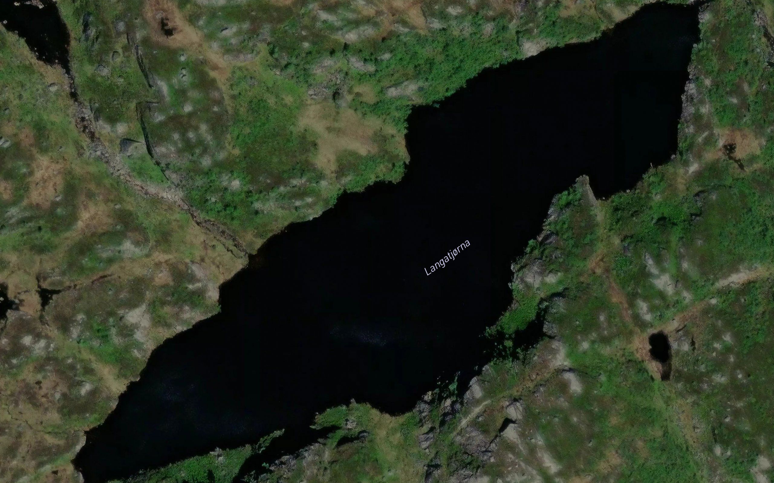 Langatjorni