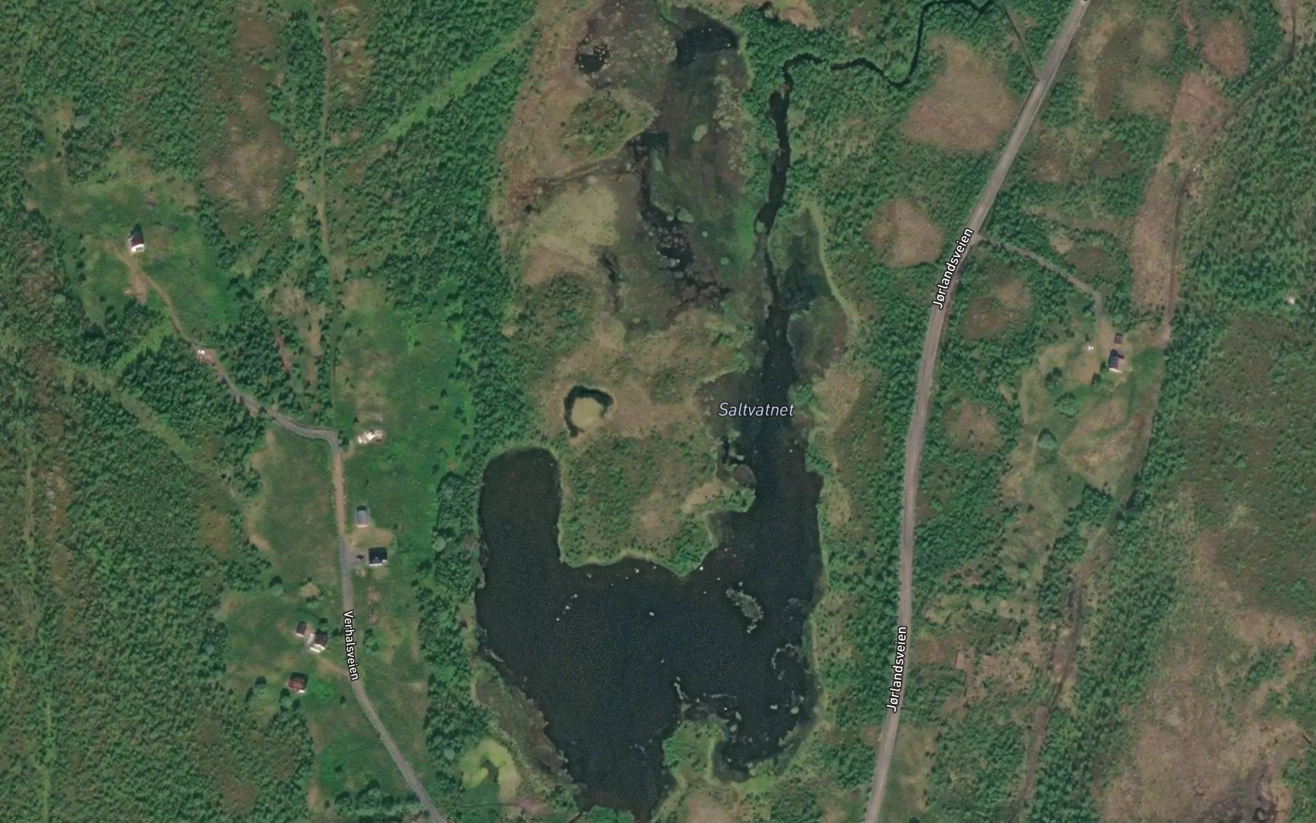 Saltvatnet