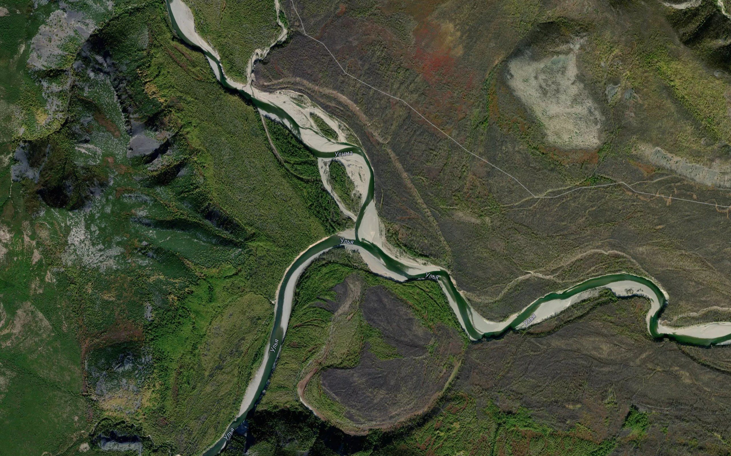 Uyenma