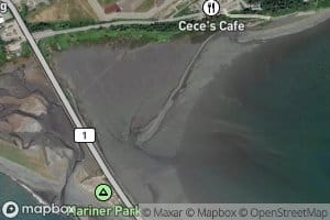 Mud Bay