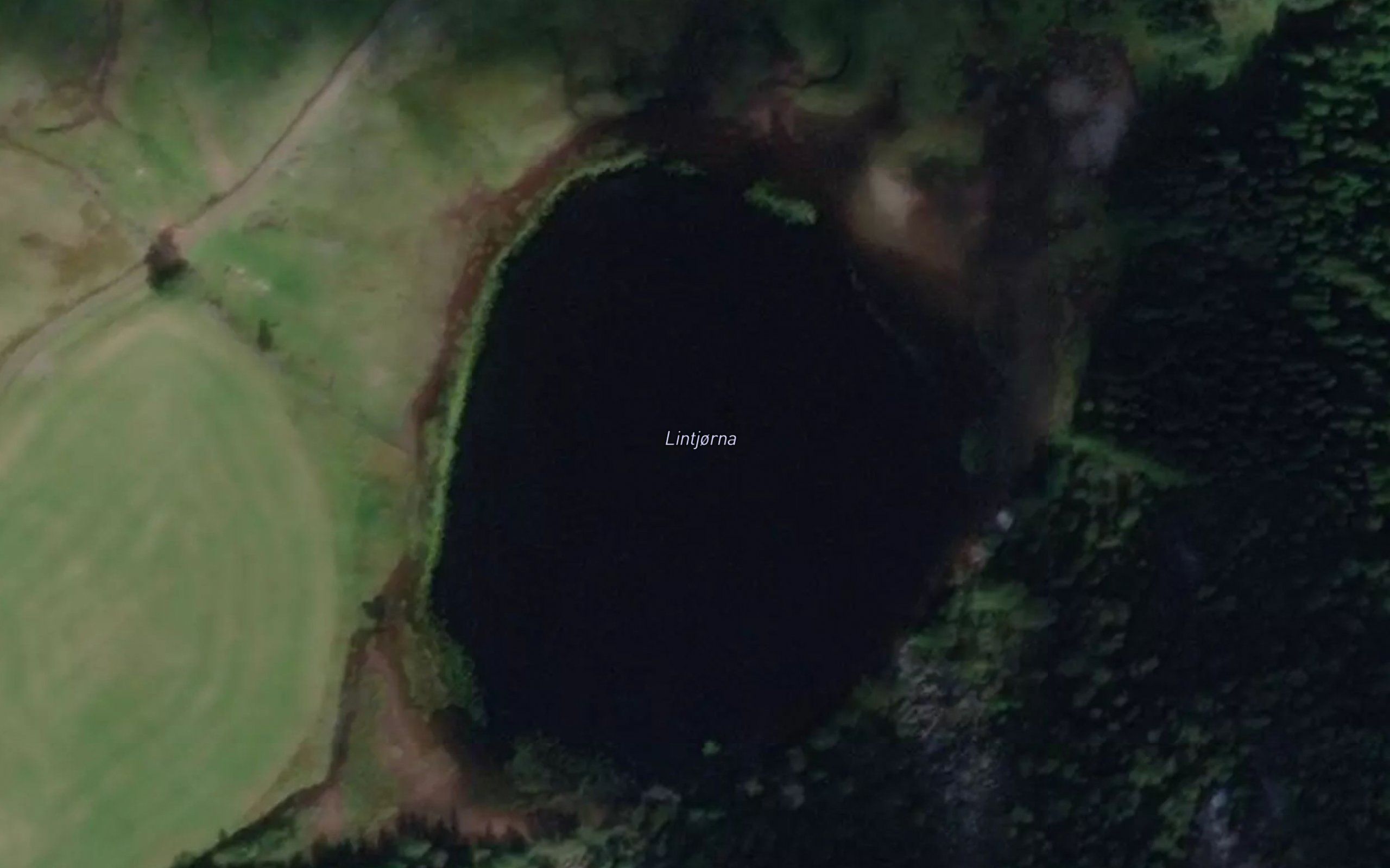 Lintjorna
