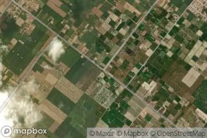 Daria Minor