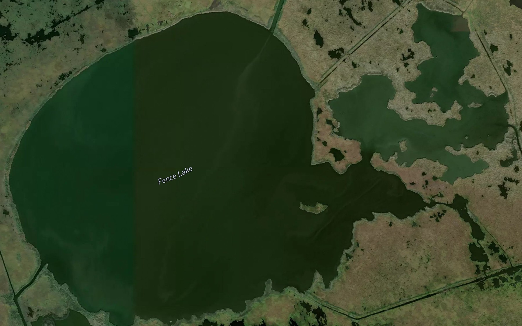 Satellite map of the Fence Lake