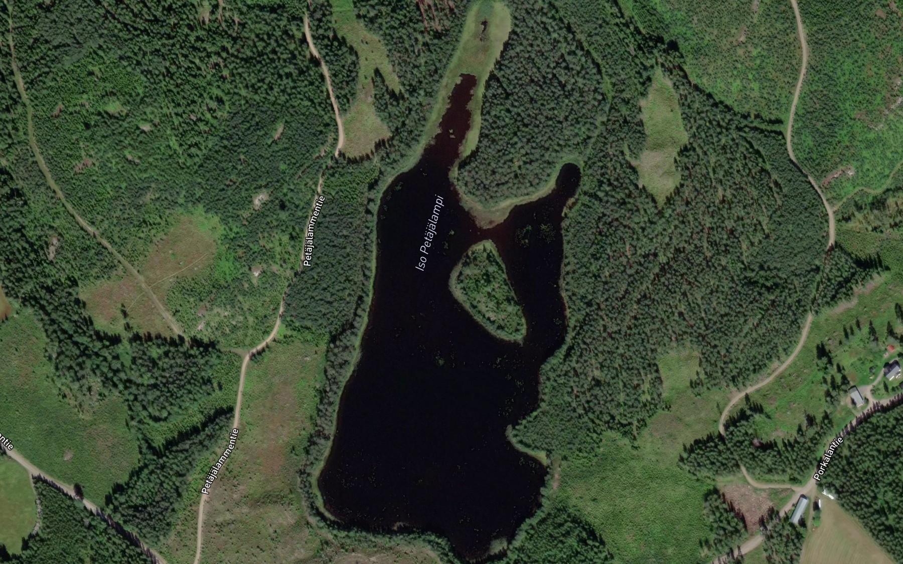 Satellite map of the Iso Petajalampi