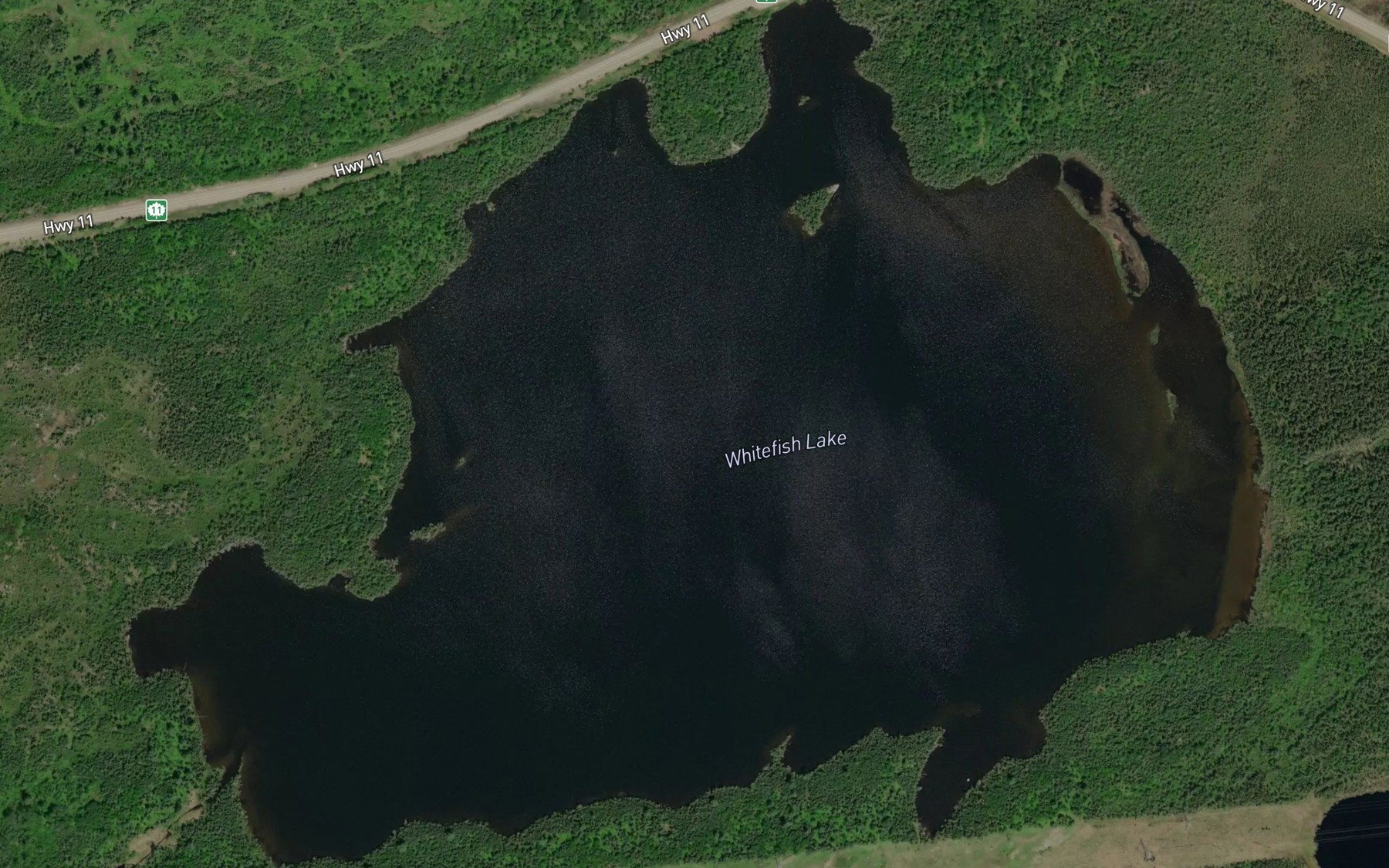 Satellite map of the Whitefish Lake
