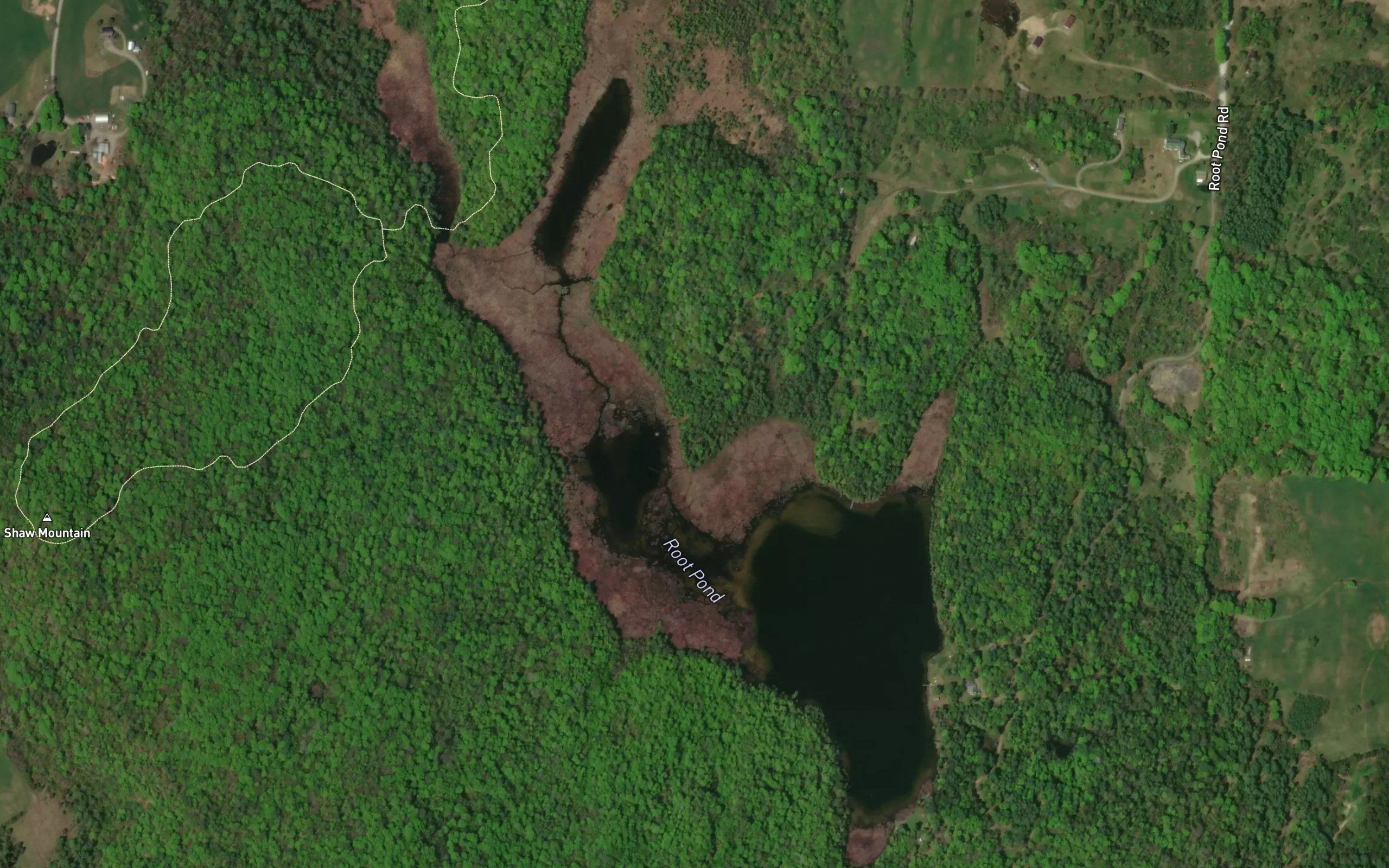 Root Pond