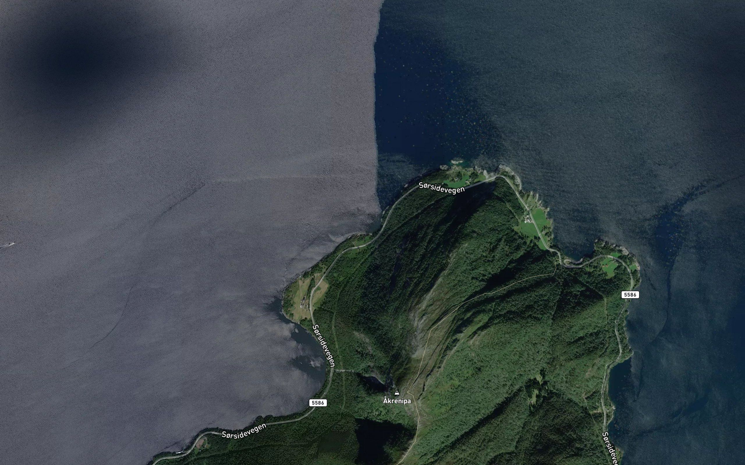 Jaktenaustvika