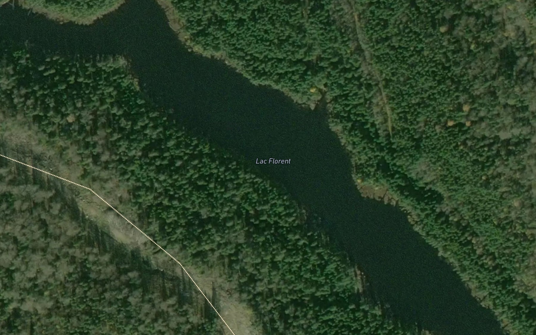 Satellite map of the Lac Florent