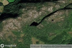 Toskardtjorna